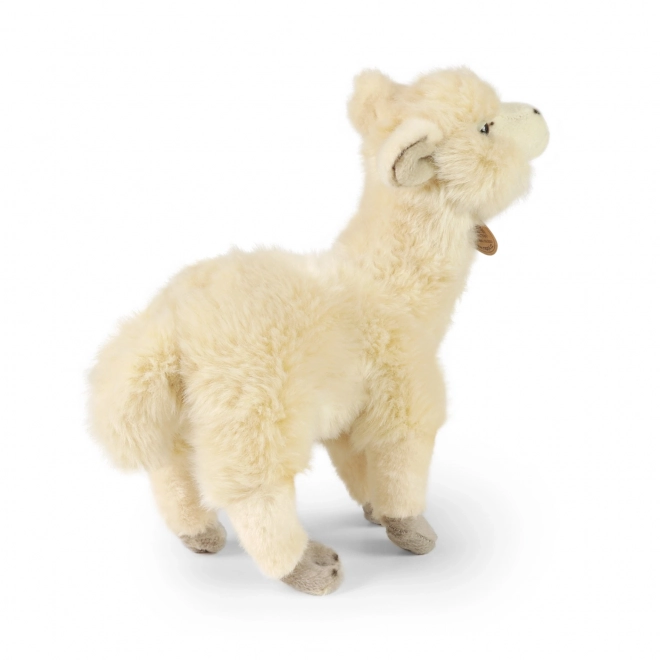 Rappa Peluche lama Alpaca debout 23 cm ÉCOLOGIQUE
