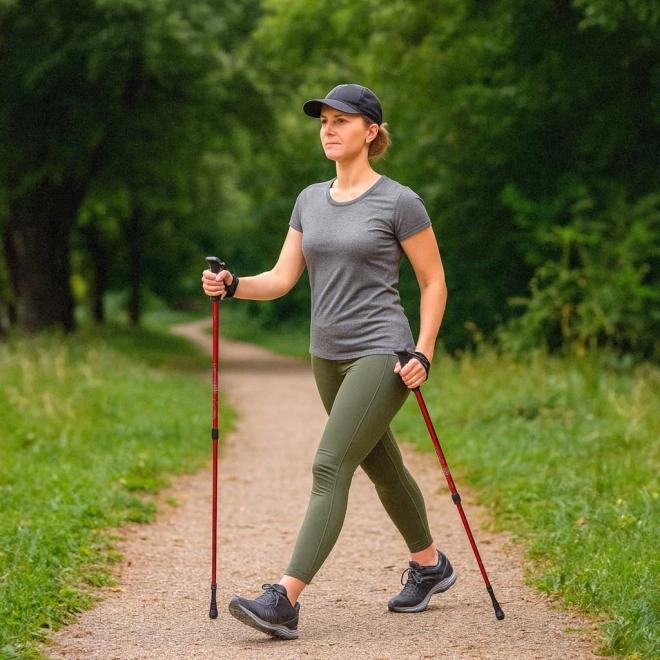 Bâtons de randonnée pliables pour Nordic Walking 2 pièces rouges