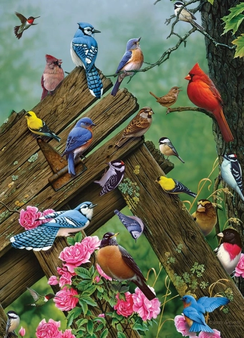 Puzzle Oiseaux de la Forêt 1000 Pièces Cobble Hill