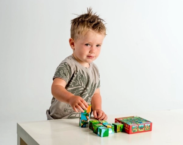 Cubes Kubus Mes Premiers Animaux Bois