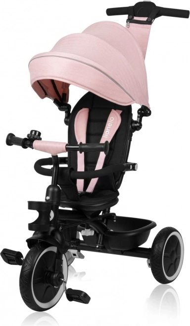 Tricycle pour enfants Berry Rose