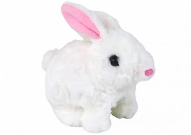 Jouet interactif : lapin à poils courts blanc