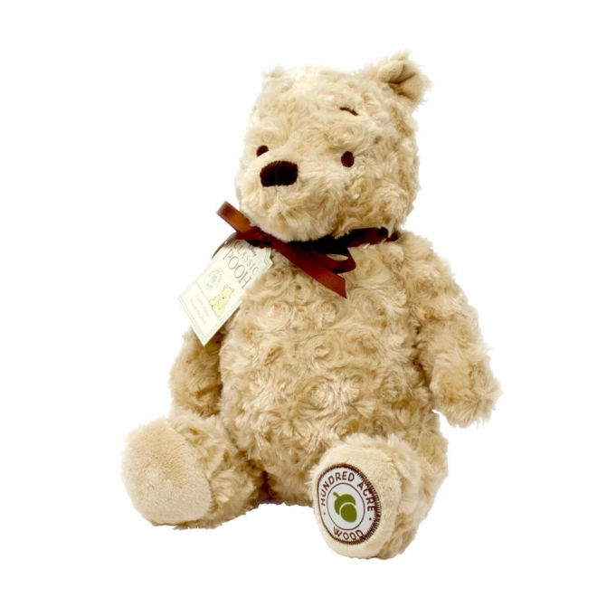 Nounours Peluche Rainbow Winnie l'Ourson de la Forêt des Cent Acres