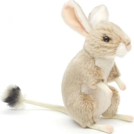 Détails réalistes de la gerboise