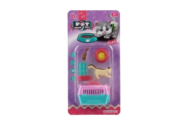 Petit chat avec une boîte de transport et accessoires