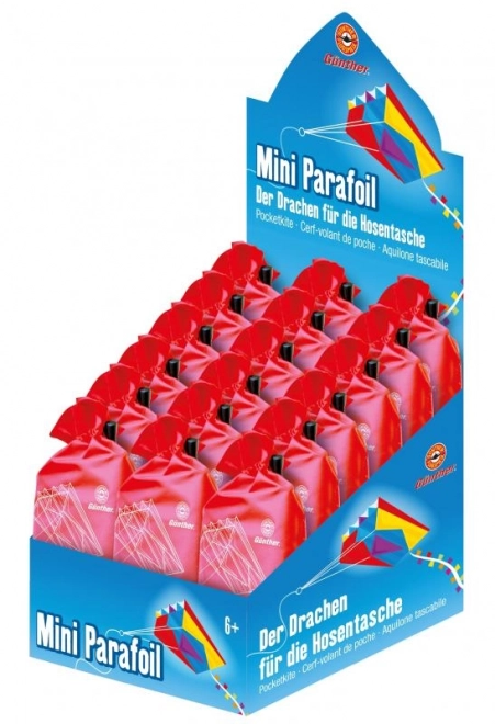 Cerf-volant volant 3D Mini Parafoil 60 x 51 cm