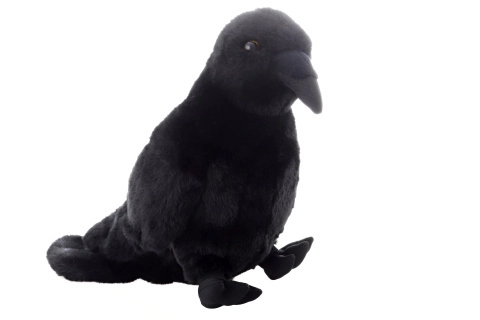 Corbeau en peluche avec son - écologique