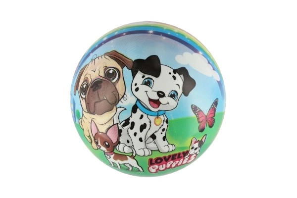 Balle chiens 23 cm