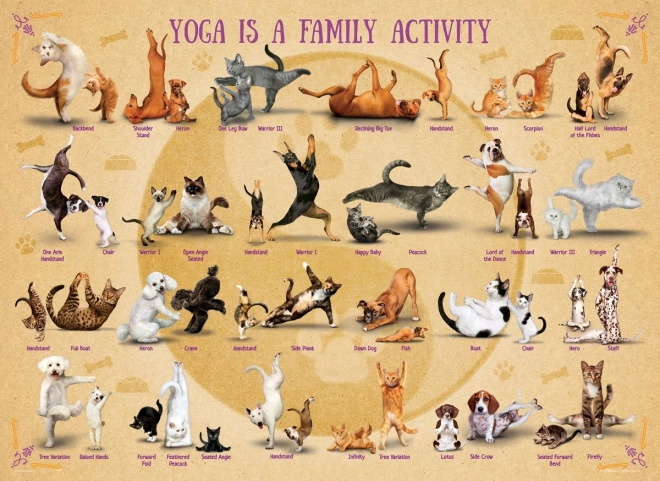Puzzle Yoga XL 500 pièces