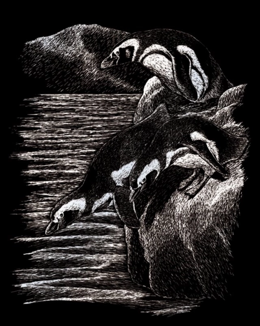 ROYAL & LANGNICKEL Illustrations à gratter en bloc Animaux sauvages