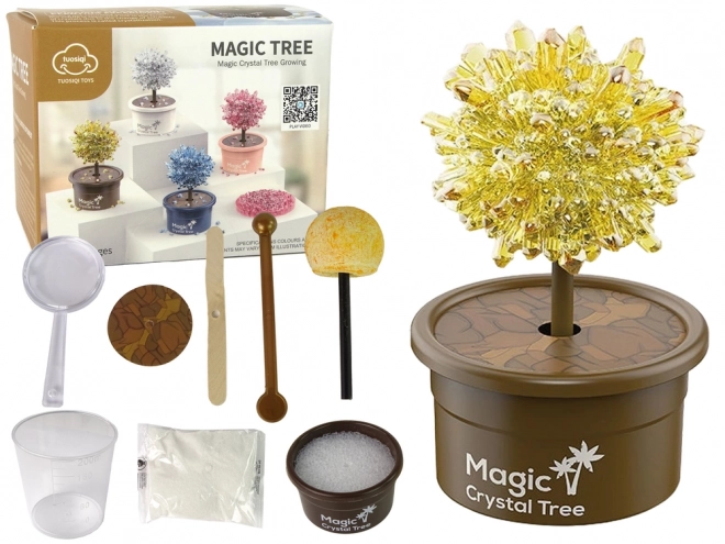 Arbre magique Culture des cristaux Expériences dorées