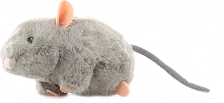 Détails sûrs pour l’âge 0+