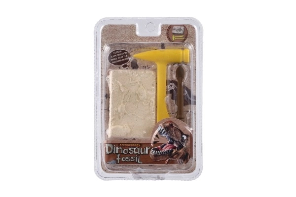 Petit archéologue fossile de dinosaure plastique 2 couleurs sous blister 12,5x19x5cm 12pcs en boîte