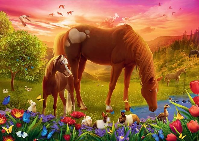 Puzzle 500 pièces Chevaux dans le pré