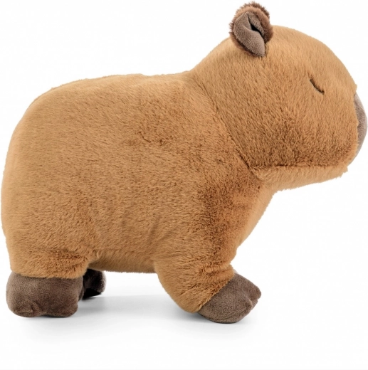 Design naturel et apaisant