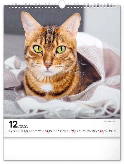 Calendrier mural Chats 2025, 30 × 34 cm