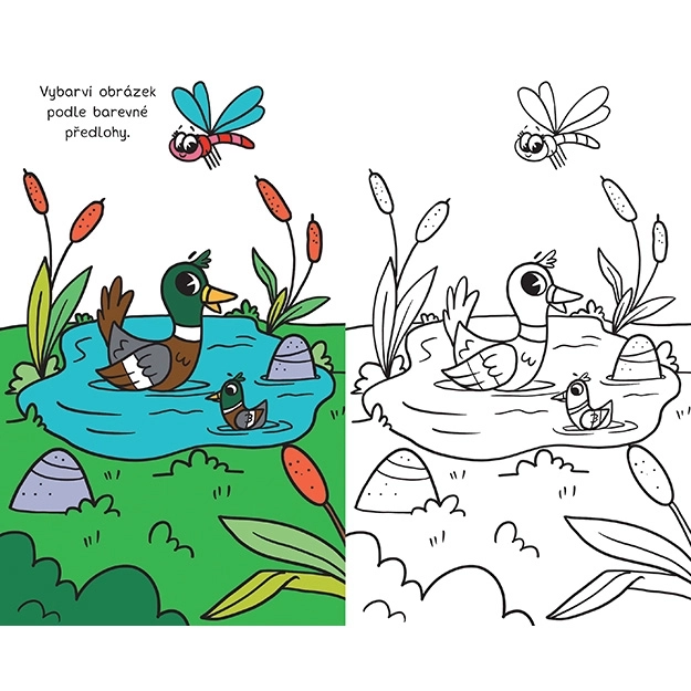 Mon Cahier de Coloriage de Voyage Ferme