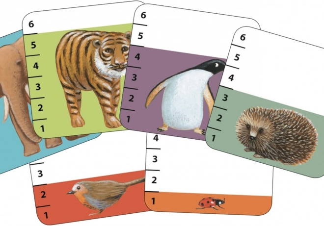 Jeu de cartes DJECO Qui des animaux