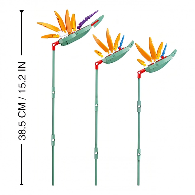 Sluban Flowers Strelitzia Royale