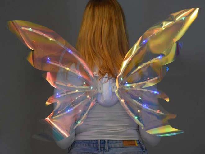 Ailes magiques pour papillon, elfe, fée