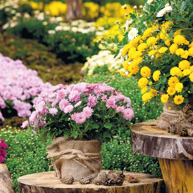 CALENDRIER DE NOTIQUES Jardins 2025, 30 x 30 cm