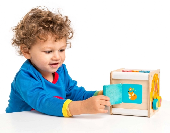 Le Toy Van Petilou Cube d'Activités