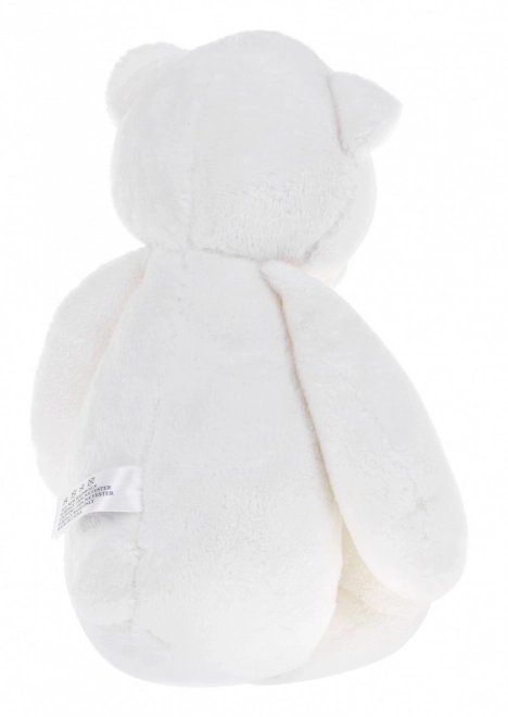 Ourson en peluche apaisant 3 en 1 avec projecteur et mélodies, 6 m+