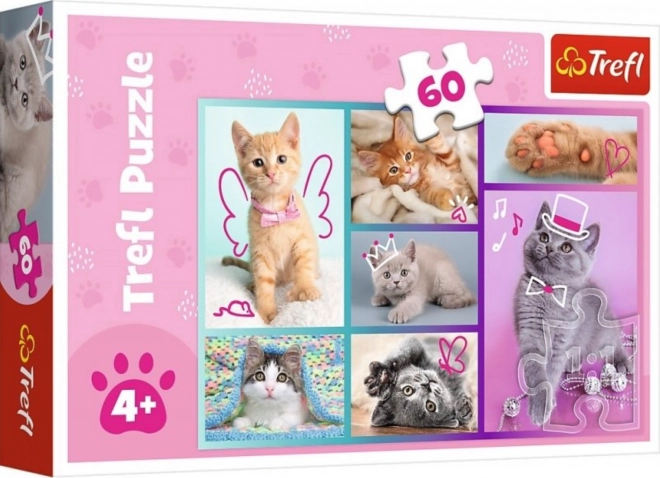 Puzzle 60 pièces Douces chatons