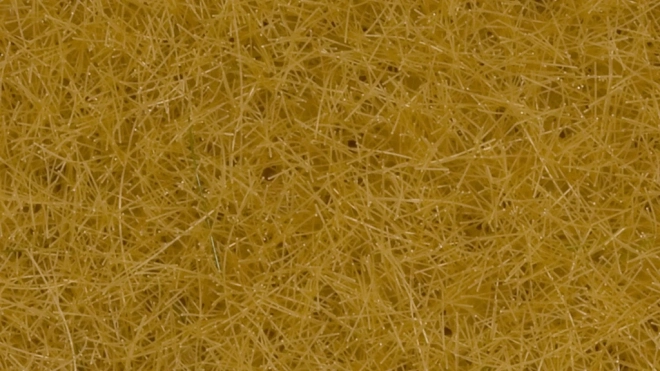 Herbe statique sèche 12 mm