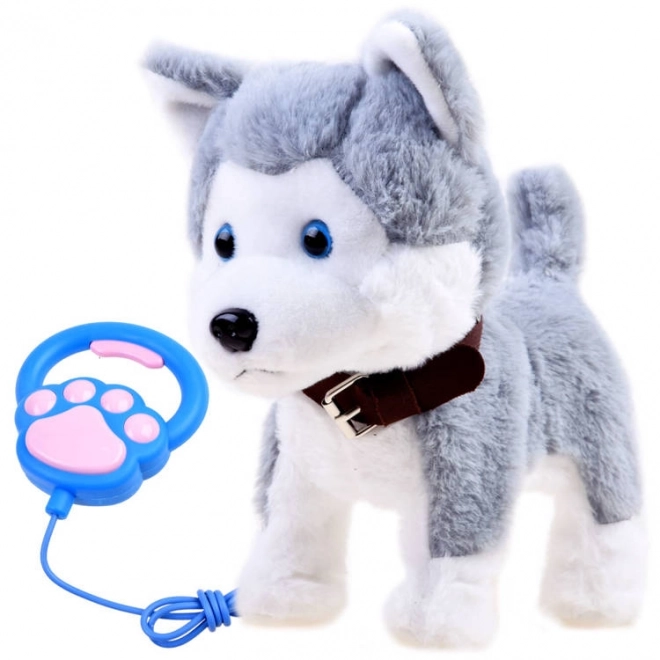 Chien Husky interactif en laisse