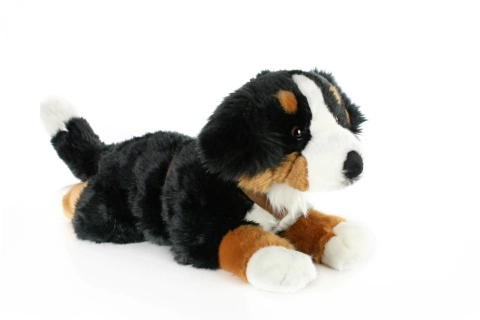 Chien de Montagne des Bernois en peluche 65 cm