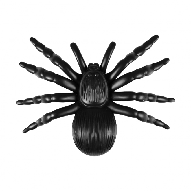 Décoration araignée noire 5 pcs