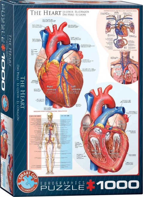 EUROGRAPHICS Puzzle Cœur 1000 pièces