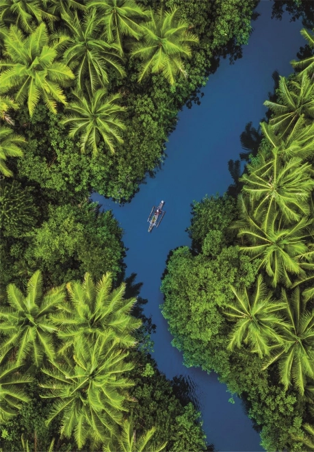 Puzzle avec vue tropicale à vol d'oiseau