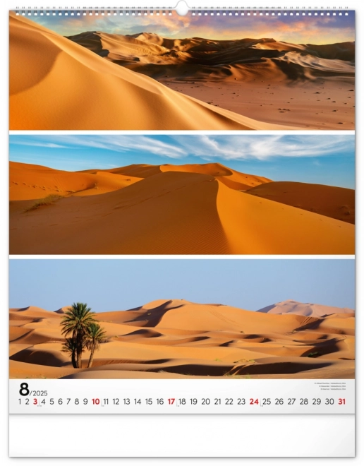 NOTIQUE Calendrier mural Palette 2025, 48 x 56 cm