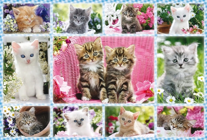 Puzzle chatons 100 pièces