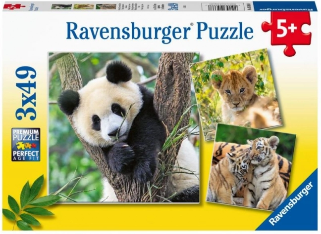 Panda, tigre et lion 3x49 pièces