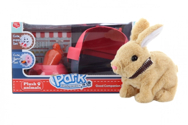 Lapin à piles avec caisse de transport