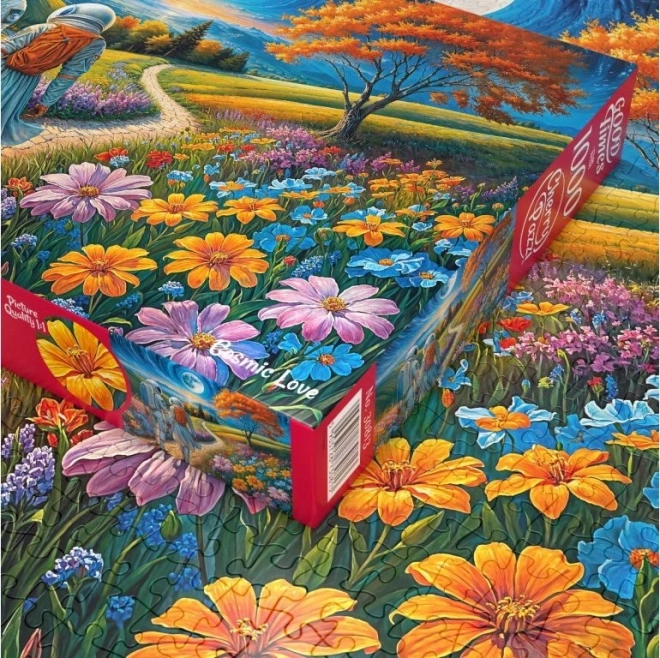 Puzzle Amour Cosmique avec 1000 pièces