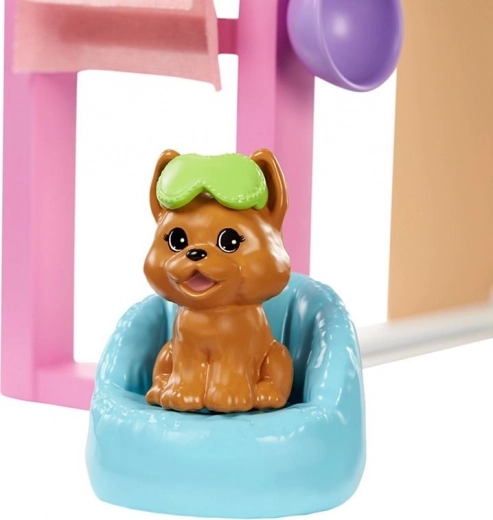 Des soins aussi pour l’adorable chiot