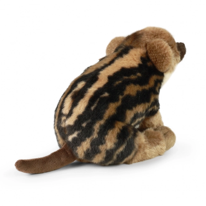 Jeune sanglier en peluche 20 cm Eco Friendly