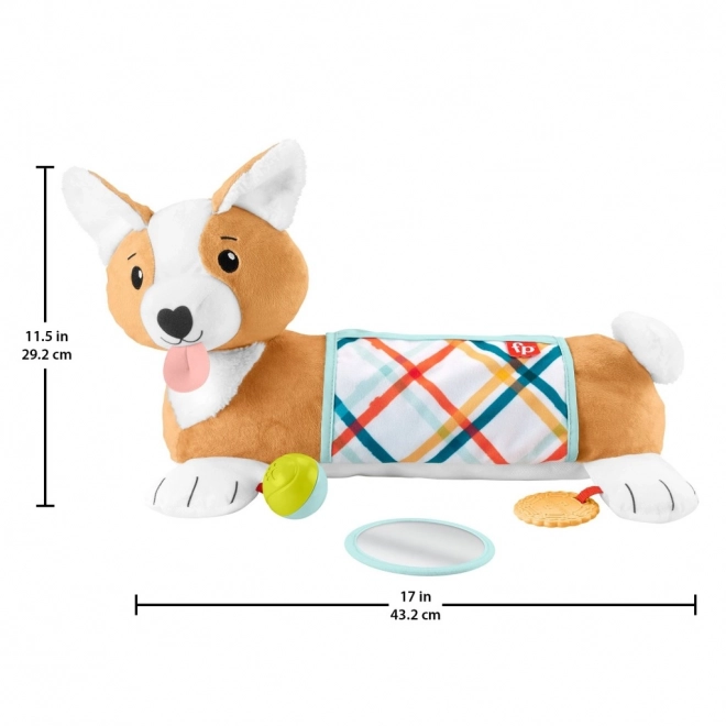 Coussin ventre pour bébés Fisher-Price