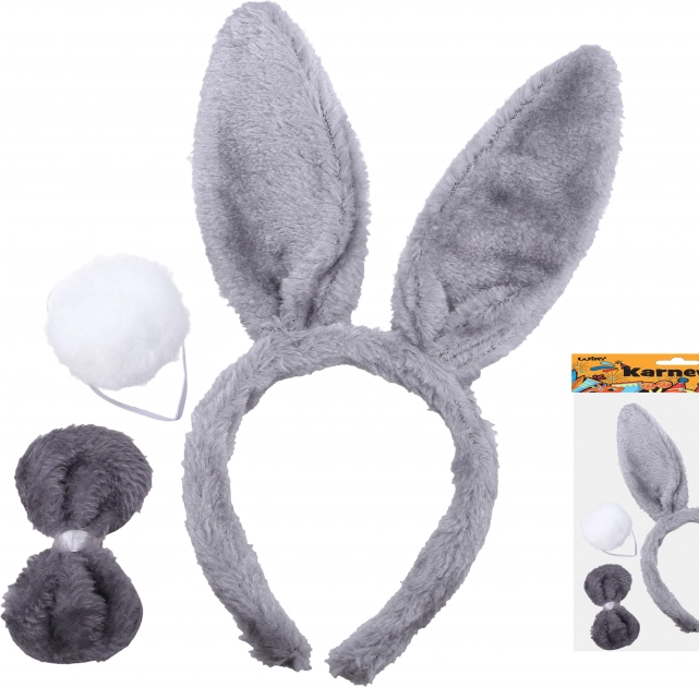 Ensemble de Carnaval Lapin