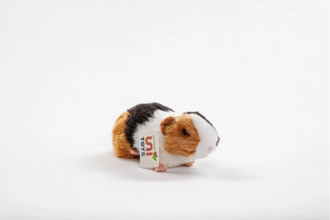 Cochon d'Inde Peluche 21 cm - ÉCOLOGIQUE