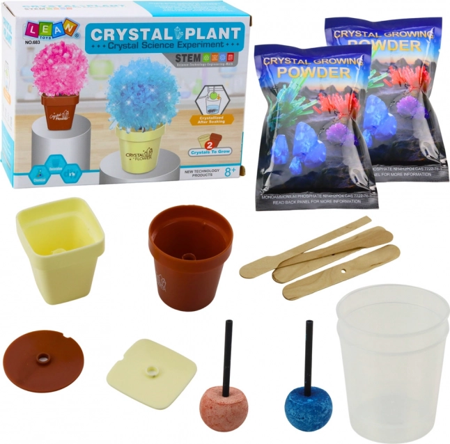Kit éducatif Culture d’un arbre magique en cristal