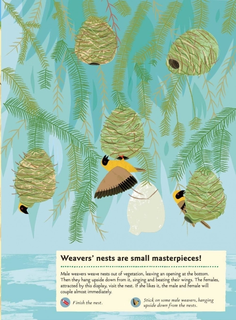 Livre d'activités avec autocollants - Animaux de la savane