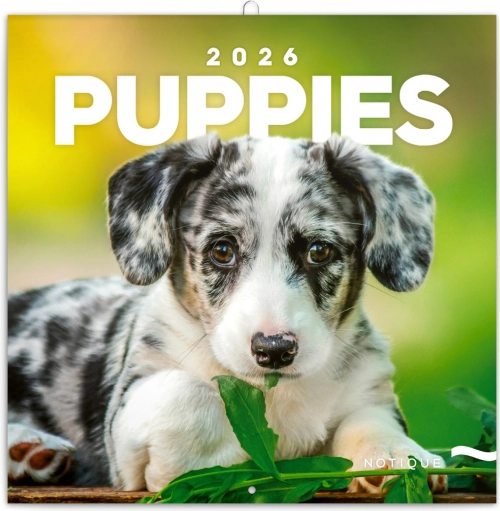Calendrier de notes Chiots 2026