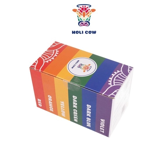 Poudre Holi colorée - 6 x 100 g