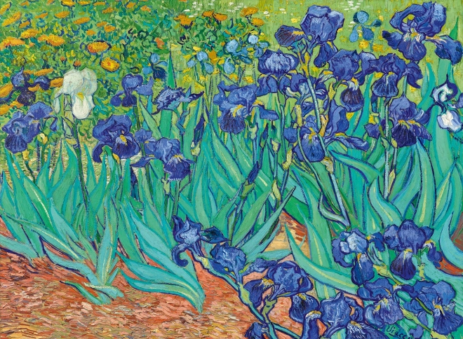 Puzzle Iris (1889) 3000 pièces BLUEBIRD