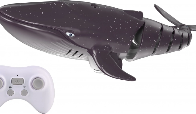 Baleine avec fontaine télécommandée 35 cm